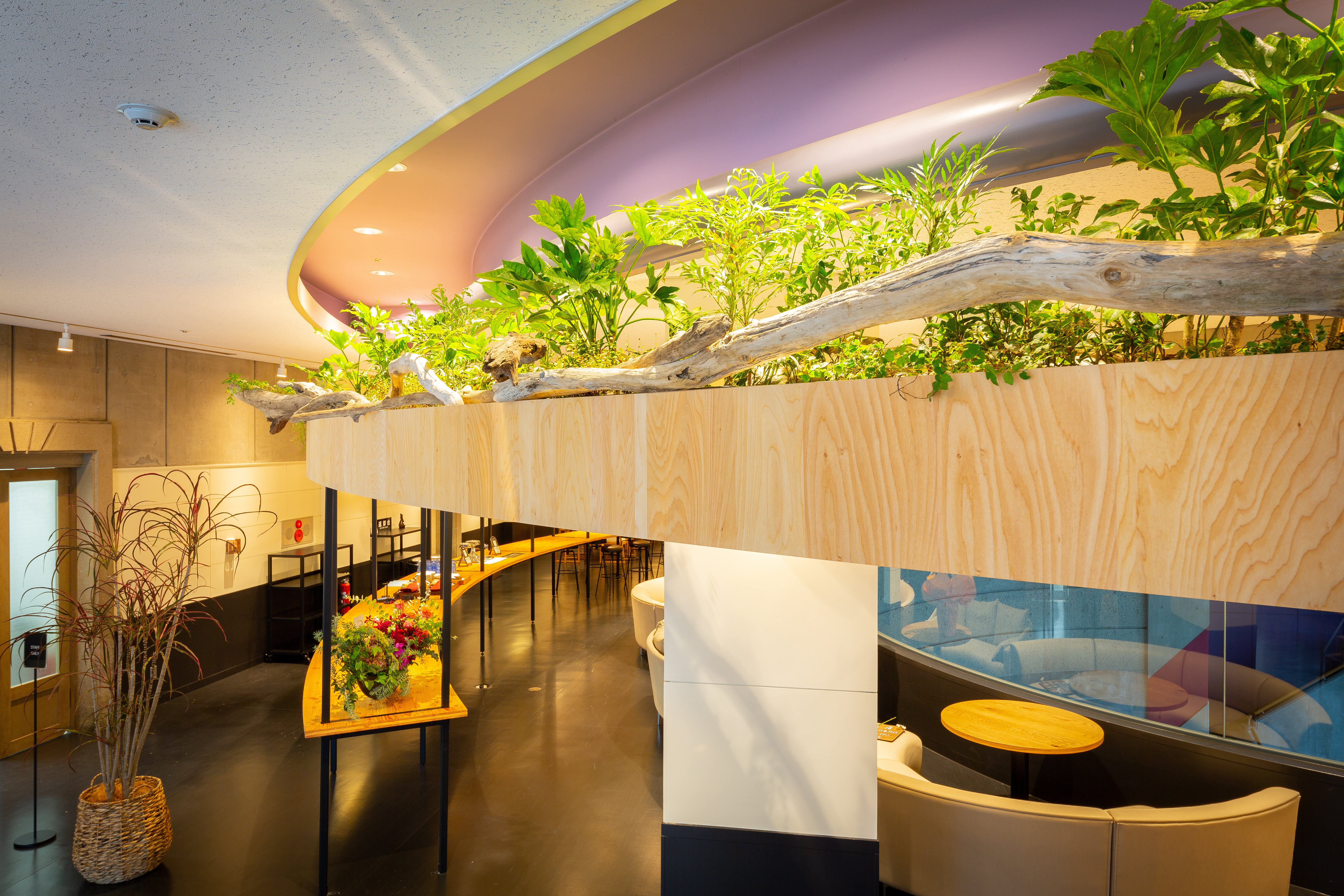 富沢西EBデンタルクリニック　歯科医院