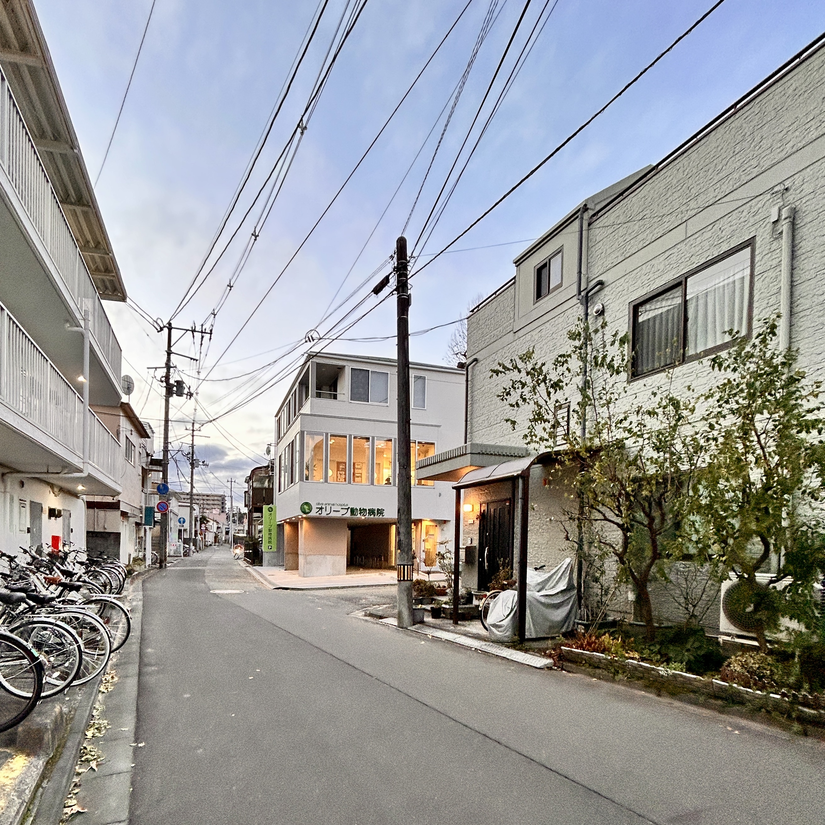 富沢西EBデンタルクリニック　歯科医院